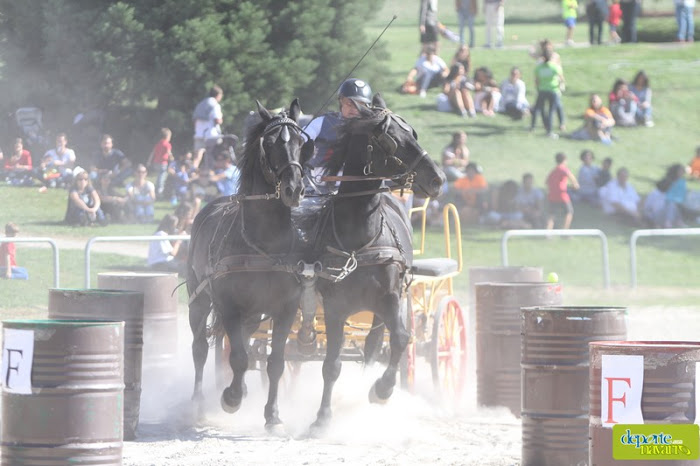 Exhibición de Enganches en el XXII Día del Deporte